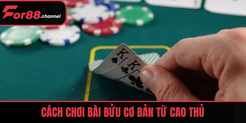 Cách chơi bài bửu cơ bản từ cao thủ