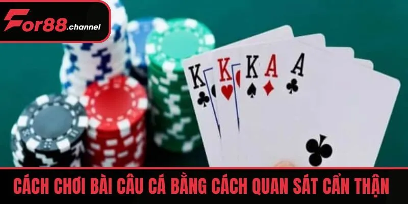 Cách chơi bài Câu Cá bằng cách quan sát cẩn thận 