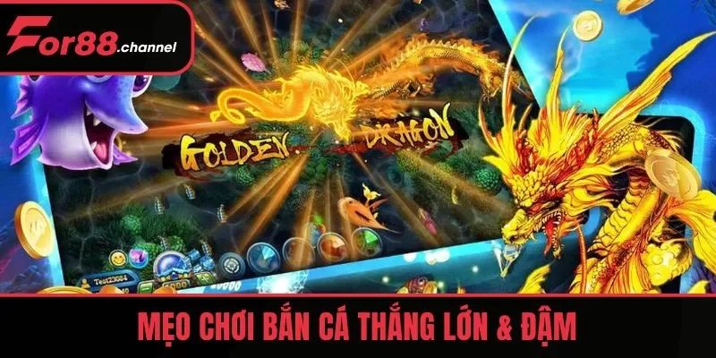 Mẹo chơi Săn Rồng Vàng thắng lớn & đậm